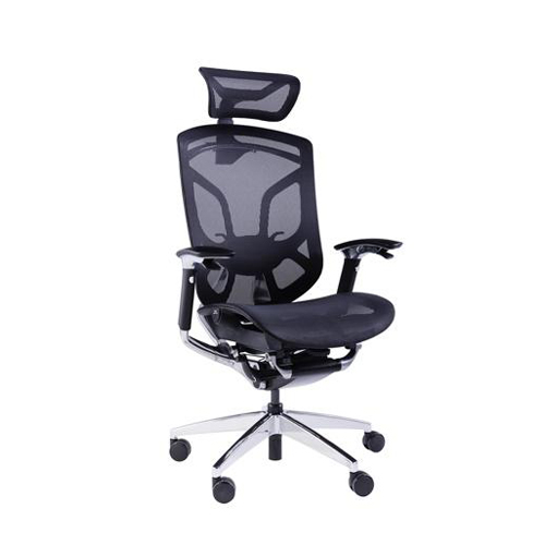 Ergonomix